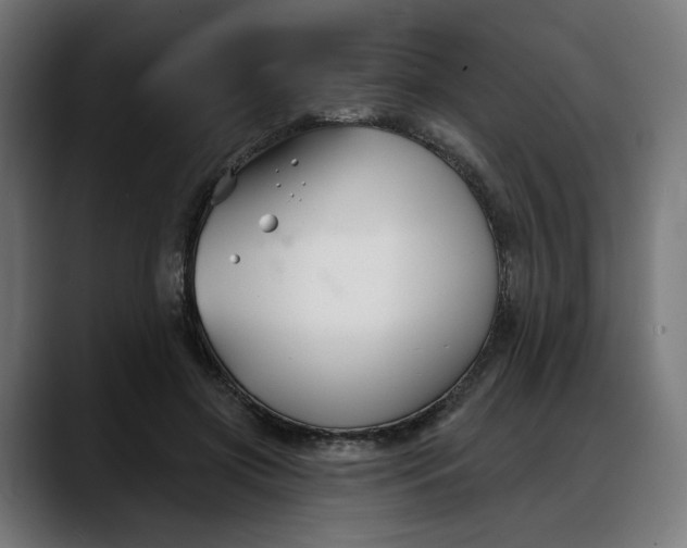 X0000088040549200705251304