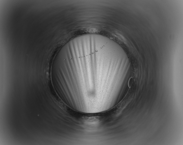 X0000088040553200705251304