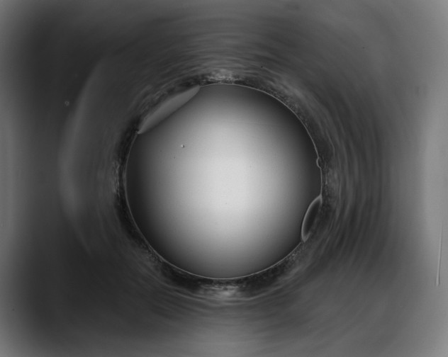 X0000088040554200705251304