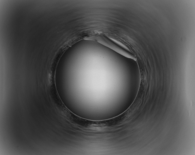 X0000088040556200705251304