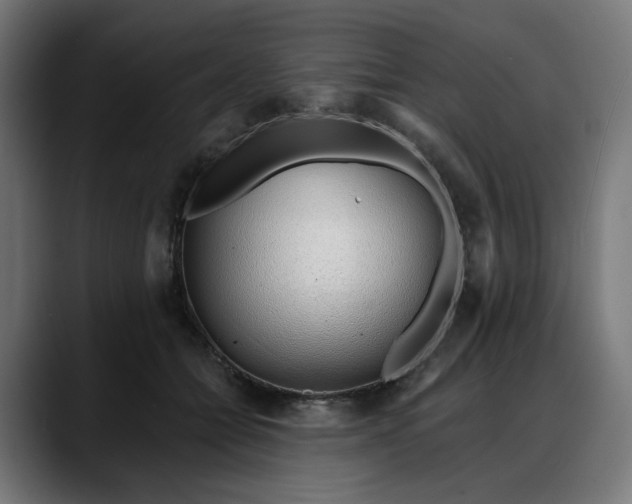 X0000088040558200705251304