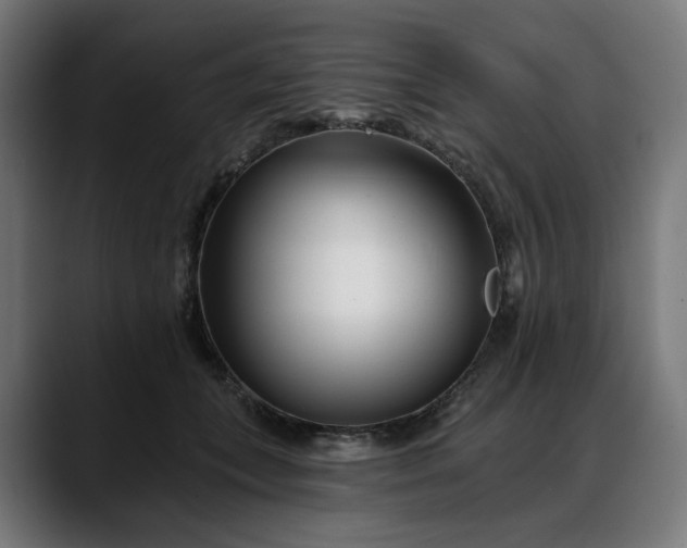 X0000088040559200705251304