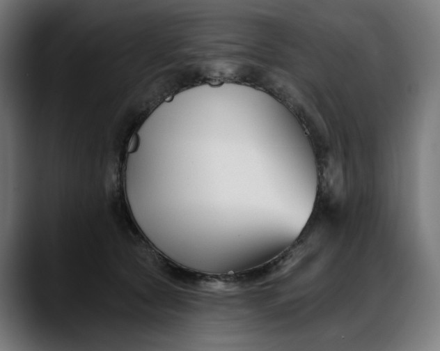 X0000088040561200705251304