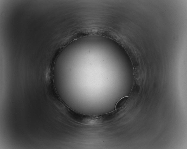 X0000088040563200705251304