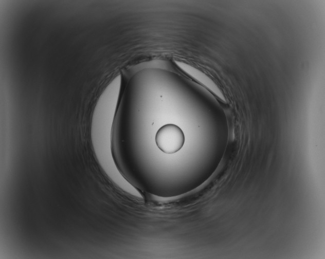 X0000088040564200705251304