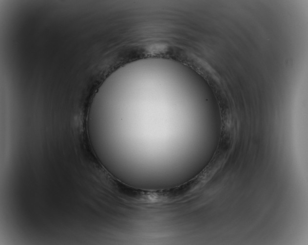 X0000088040565200705251304