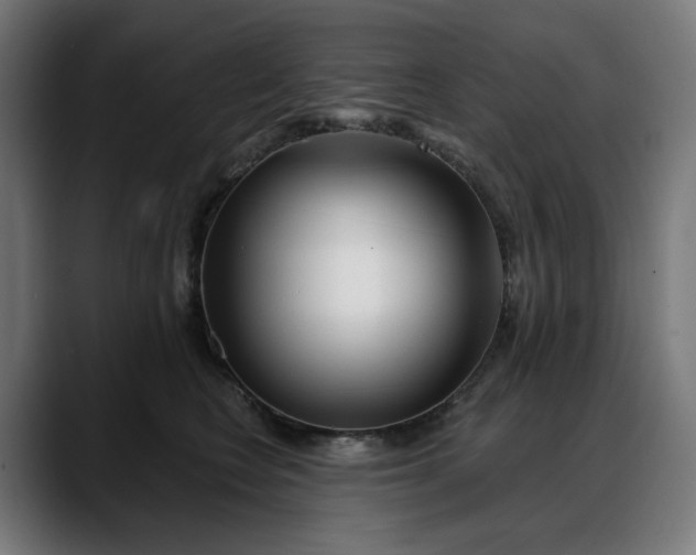 X0000088040566200705251304