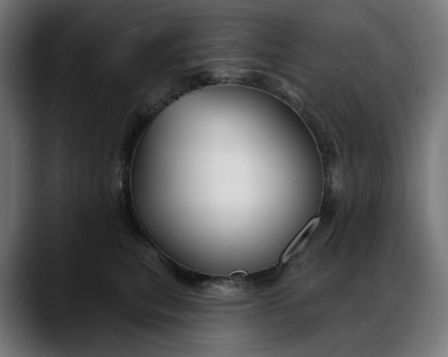 X0000088040567200705251304