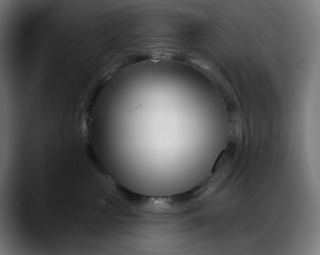 X0000088040573200705251304