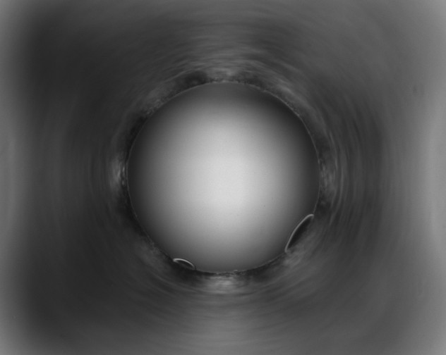 X0000088040574200705251304