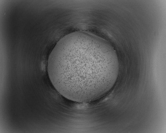 X0000088040576200705251304