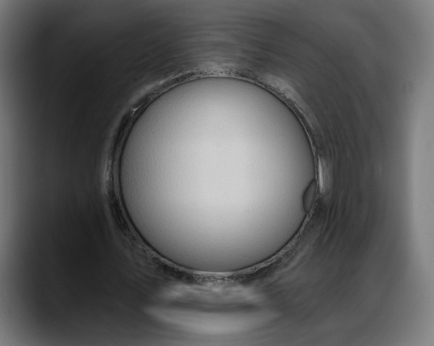 X0000088040579200705251303