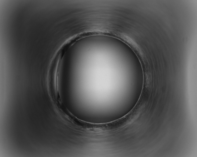 X0000088040580200705251303