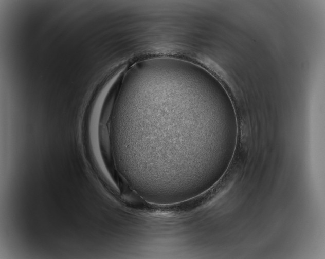 X0000088040581200705251303