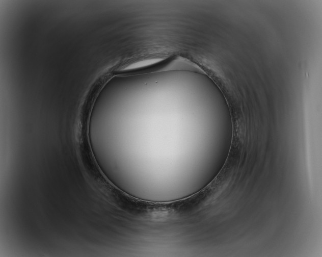 X0000088040587200705251303