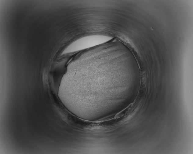 X0000088040589200705251303