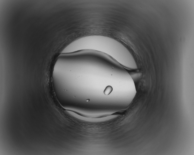 X0000088040593200705251303