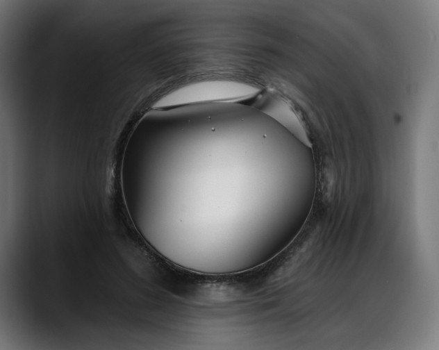 X0000088040596200705251303