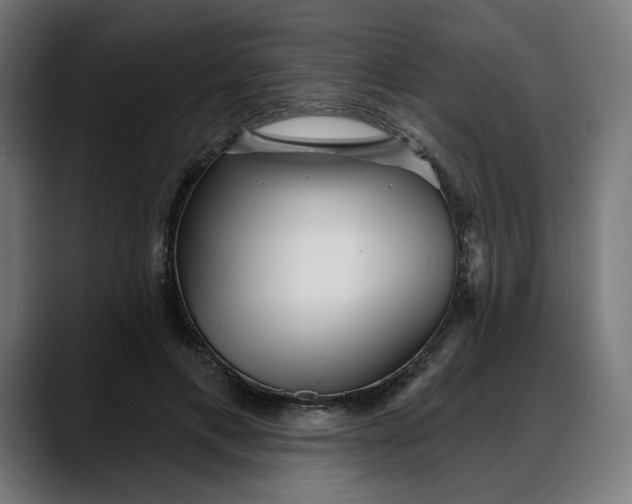 X0000088040597200705251303