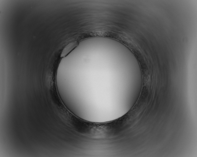 X0000088040599200705251303