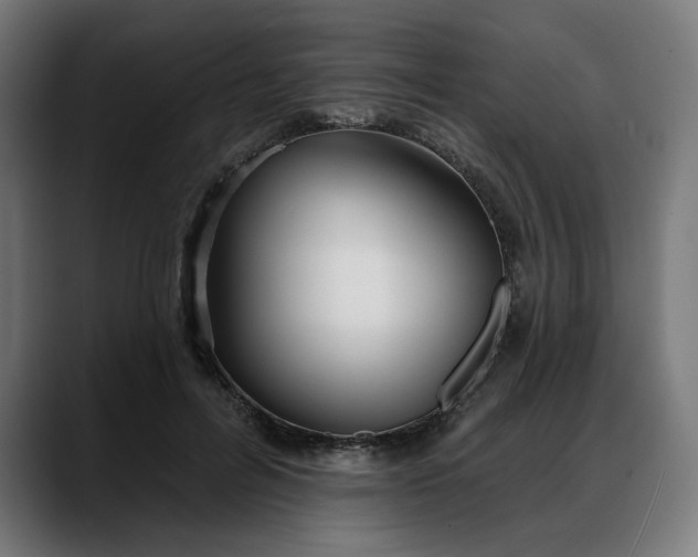 X0000088040600200705251303