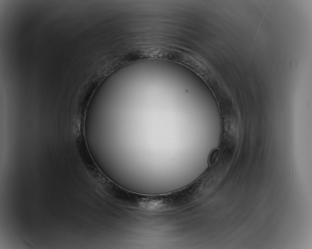 X0000088040602200705251303