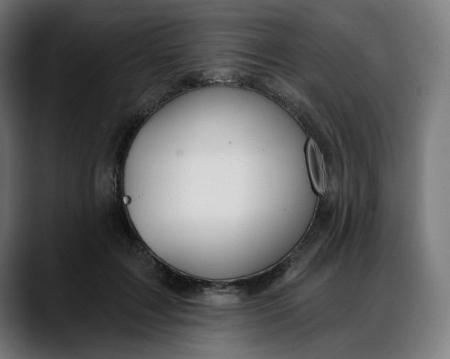 X0000088040603200705251303