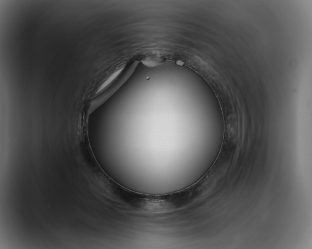 X0000088040605200705251303