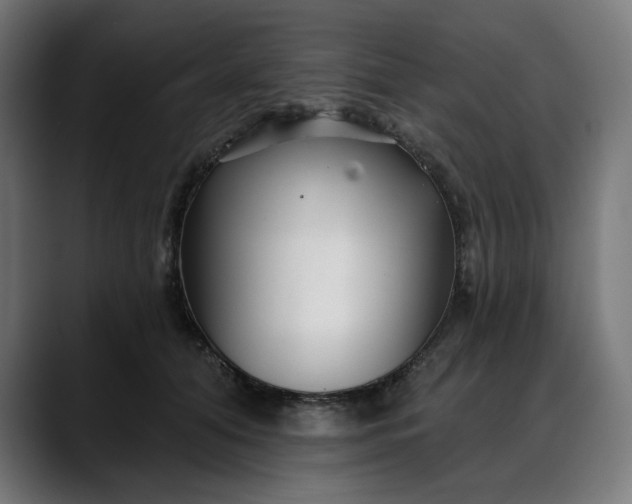 X0000088040608200705251303