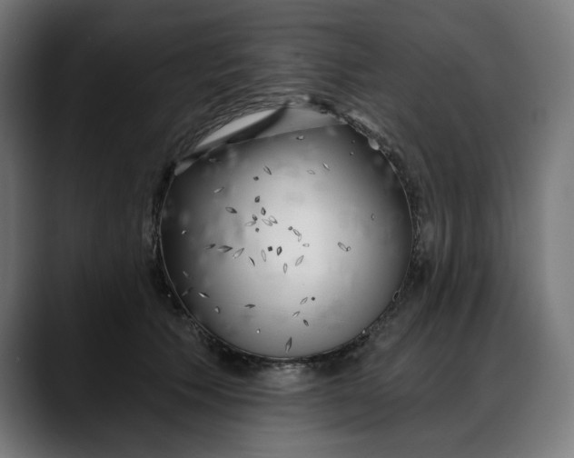 X0000088040609200705251303