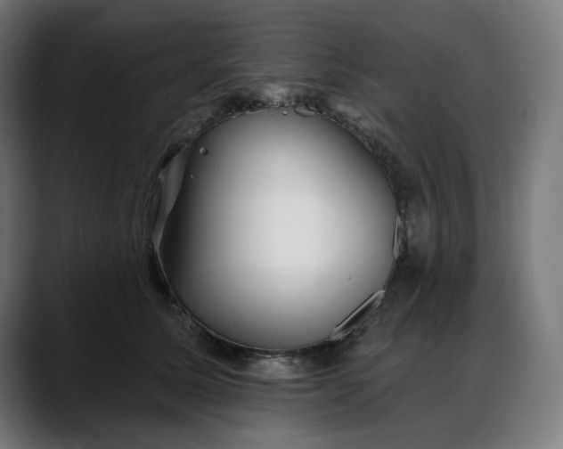 X0000088040611200705251303