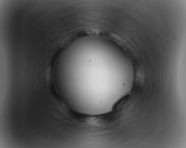 X0000088040616200705251303