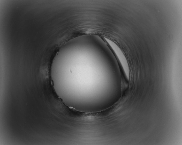 X0000088040620200705251303