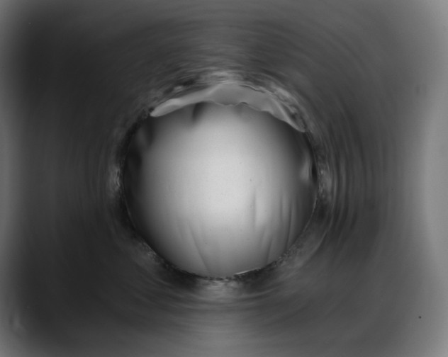 X0000088040621200705251303