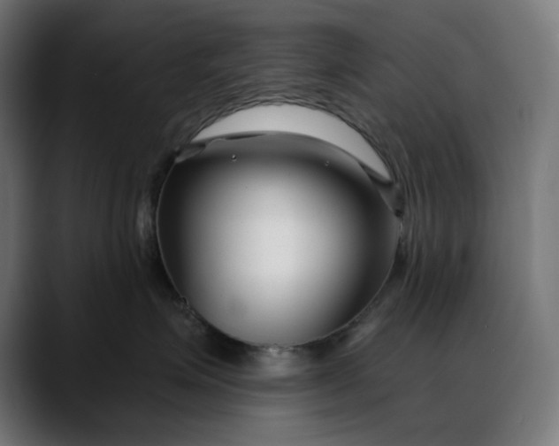 X0000088040623200705251303