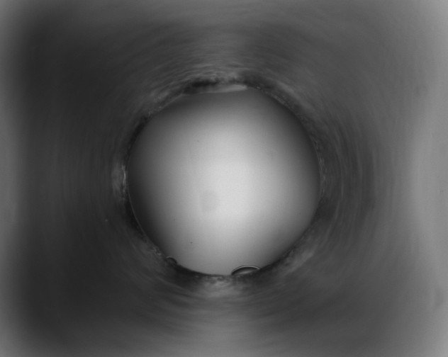 X0000088040624200705251303