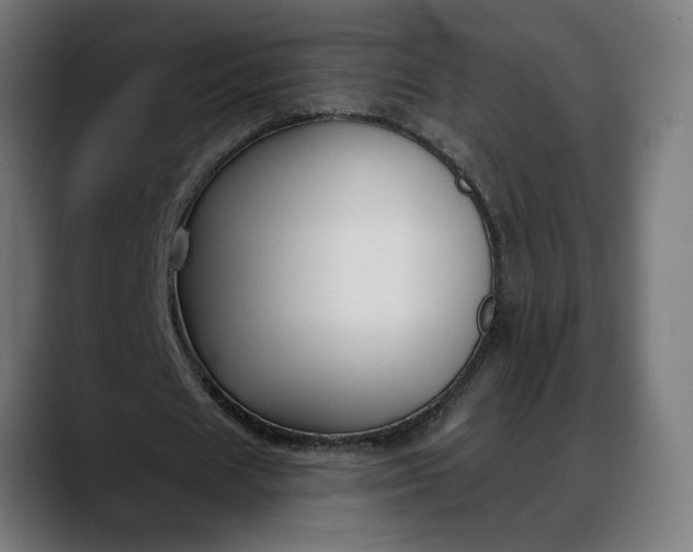 X0000088040625200705251302