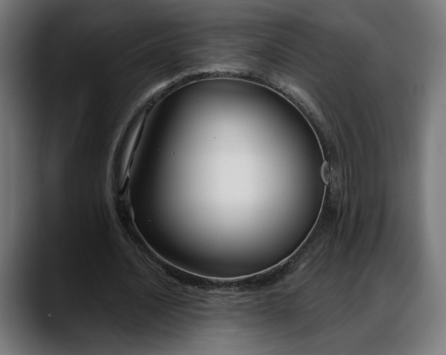 X0000088040628200705251302