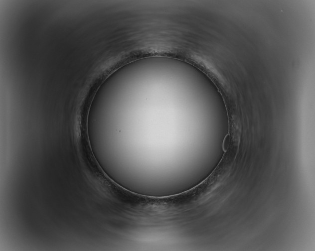 X0000088040631200705251302