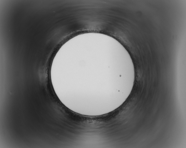 X0000088040632200705251302