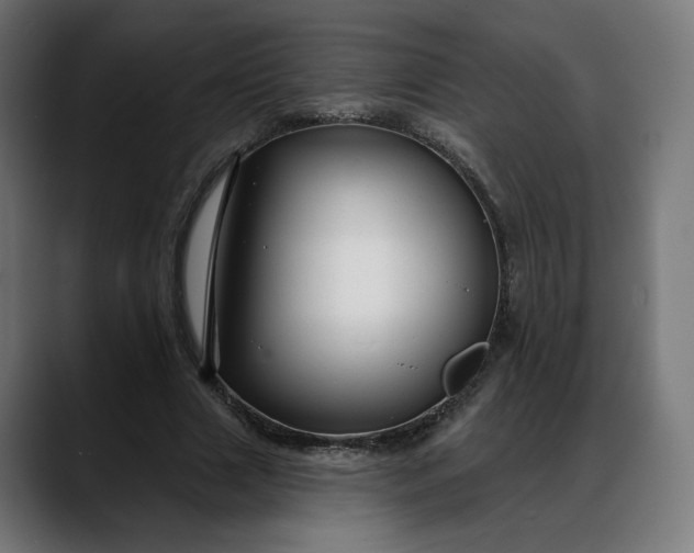 X0000088040633200705251302