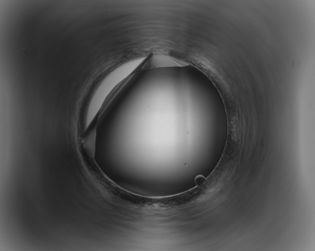 X0000088040634200705251302