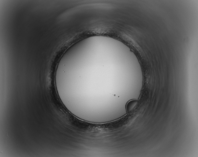 X0000088040635200705251302