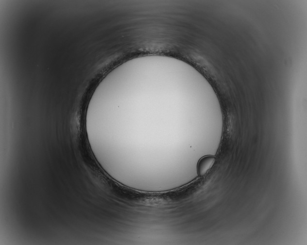 X0000088040636200705251302