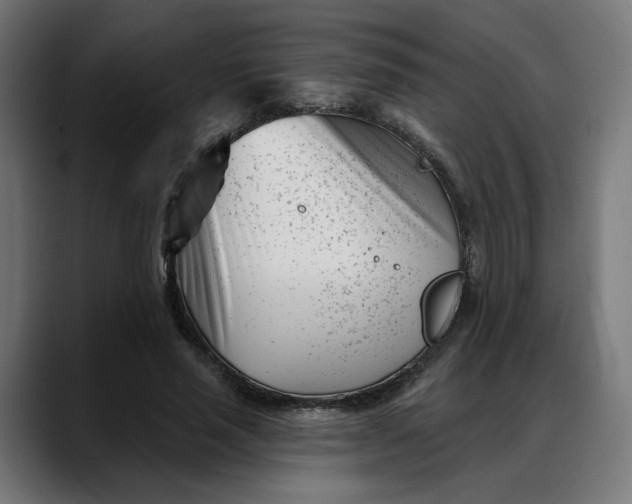 X0000088040637200705251302