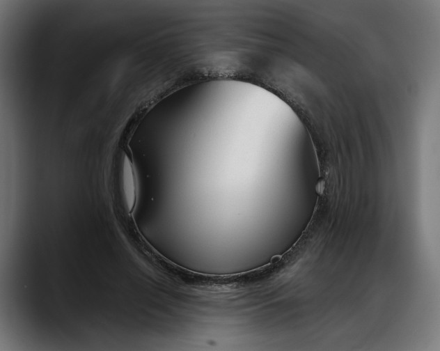 X0000088040638200705251302