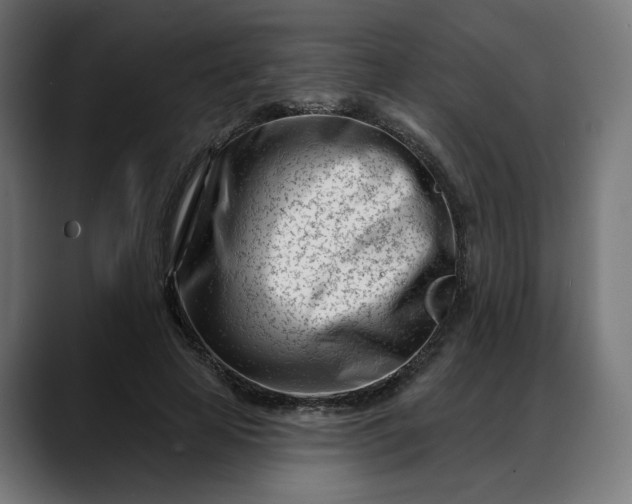 X0000088040641200705251302