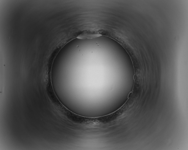 X0000088040642200705251302