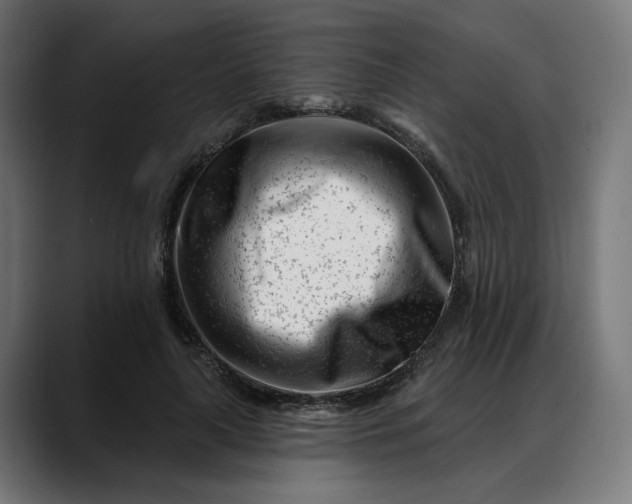 X0000088040643200705251302