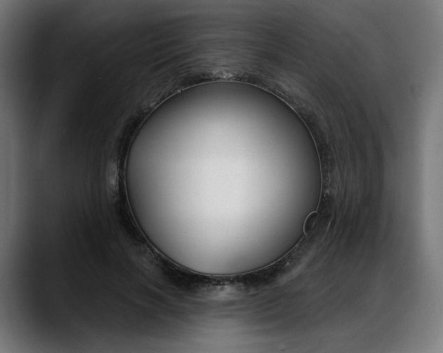 X0000088040646200705251302